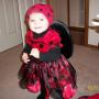 Vicki Rogers Photo 35
