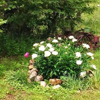 Jean Hodges Photo 9