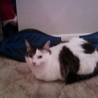 Tina Flippen Photo 2