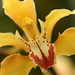James Swearingen Photo 26