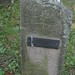 Elizabeth Deyo Photo 8