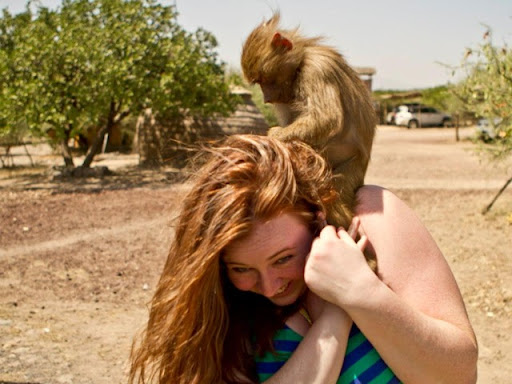 Rachel Reeves Photo 11