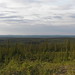 James Forest Photo 17