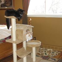 Lynn Zorn Photo 15
