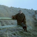 Alan Winters Photo 24