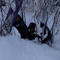 Rob Kole Photo 2
