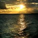 June Mccool Photo 6
