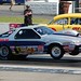 David Bogner Photo 4