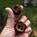 Kathryn Jacobson Photo 16
