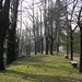 Roberta Scales Photo 9