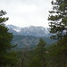 Brenda Estes Photo 14