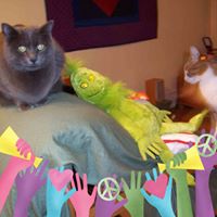 Debra Reid Photo 45
