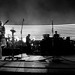 Stephanie Lyon Photo 19