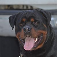 Reginald Epps Photo 12