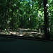 Judy Forest Photo 6