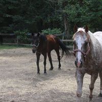 Donna Schroeder Photo 20