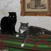 Martha Henn Photo 3