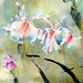 Lai Yu Photo 22