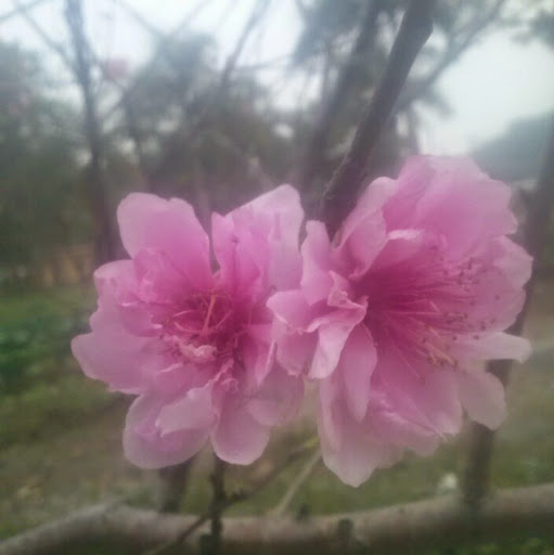 Can Nguyen Photo 6