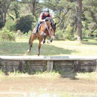 Michele Massari Photo 4
