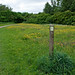 Leigh Meadows Photo 17