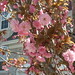 Kieu Trinh Photo 11