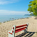 Diane Lake Photo 19
