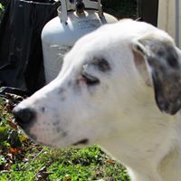 Jeanne Murray Photo 8