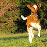 Judy Baldwin Photo 24