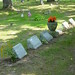 Gregory Graves Photo 40