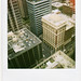 Cynthia Weeks Photo 15