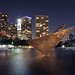 Michael Ferraro Photo 20
