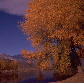 Rick Lane Photo 38