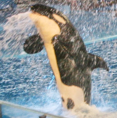 Tracy Fanning Photo 22
