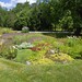 Elsie Freeman Photo 11
