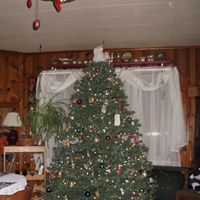 Deborah Dore Photo 9