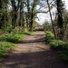 Bradley Newton Photo 9