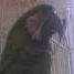 Jackie Price Photo 20
