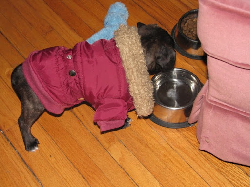 Janice Mahoney Photo 21
