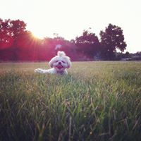 Allison Moyer Photo 27