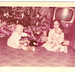 Debra Pratt Photo 21