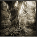 Daniel Colvin Photo 10