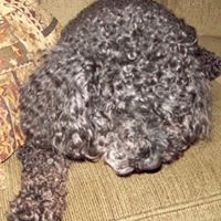 Max Long Photo 31