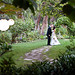 Justin Peek Photo 5