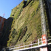 Joan Herzog Photo 12