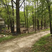 John Harnois Photo 14