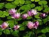 Sharon Spaulding Photo 28