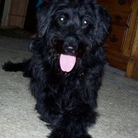 Elmer Wagner Photo 14