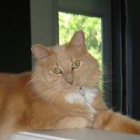 Rebecca Kimsey Photo 2