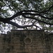 Travis Dickinson Photo 21